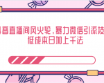 抖音直播间风火轮，暴力微信引流技术，低成本日加上千法-88项目资源库