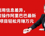 利用信息差异，零投资操作阿里巴巴最新管道项目轻松月赚10000+-88项目资源库