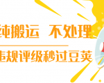 抖音纯搬运 不处理 小技巧，30秒发一个作品，避免违规评级秒过豆荚-88项目资源库