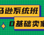 亚马逊系统班，专为0基础卖家量身打造，亚马逊运营流程与架构-88项目资源库