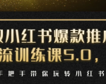 小红书爆款推广引流训练课5.0，手把手带你玩转小红书（17节实操视频+话术）-88项目资源库