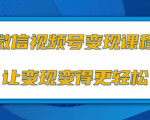 微信视频号变现项目，0粉丝冷启动项目和十三种变现方式-88项目资源库