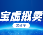黑帽子淘宝虚拟卖货项目，单店每月收入5000+-88项目资源库