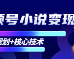 柚子微信视频号小说变现项目，全新玩法零基础也能月入10000+【核心技术】-88项目资源库