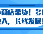 微信小商店带货，爆单多倍收入，长期复利循环！日赚300-800元不等-88项目资源库