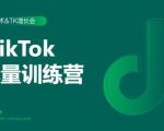 2020最新TikTok流量增长训练营（完结）附PPT-88项目资源库