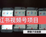 野路子小红书视频号1.0项目,直接上手操作就能赚钱的视频号项目-88项目资源库