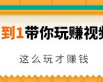 从0到1带你玩赚视频号：这么玩才赚钱，日引流500+日收入1000+核心玩法-88项目资源库
