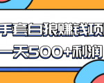 某团队收费项目：空手套白狼，一天500+利润，人人可做-88项目资源库
