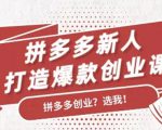 拼多多新人打造爆款创业课：快速引流持续出单，适用于所有新人-88项目资源库