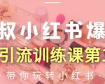 狼叔小红书爆款推广引流训练课第12期，手把手带你玩转小红书-88项目资源库