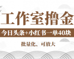 工作室撸金二件套:撸今日头条原创收益+小红书一单利润40块项目-88项目资源库