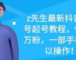 z先生最新抖音美女号起号教程,快速十万粉,一部手机就可以操作-88项目资源库
