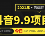 抖音9.9课程项目，没粉丝也能卖课，一天300+粉易变现-88项目资源库