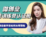 微创业全能训练营认证班课程，从理论知识与实际案例手把手指导创业新手如何从零到有-88项目资源库