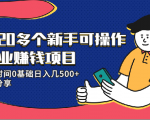 20多个新手可操作的副业赚钱项目：业余时间0基础日入几500+实操分享-88项目资源库