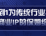 从0到1为传统行业打造抖音商业IP简单高效的保姆级攻略-88项目资源库