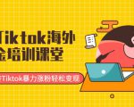最新Tiktok海外掘金培训课堂：带你玩转Tiktok暴力涨粉轻松变现-88项目资源库