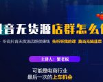 蟹老板·抖音无货源店群怎么做，吊打市面一大片《抖音无货源店群》的课程-88项目资源库