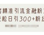 1套精准引流金融粉方法，轻松日引300+粉丝-88项目资源库