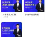 湛北·抖音小店入门进阶高阶合集，八大玩法打造百万店铺-88项目资源库