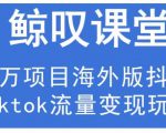 鲸叹号·海外TIKTOK训练营，百万项目海外版抖音tiktok流量变现玩法-88项目资源库