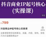 抖音商业IP起号核心实操课，带你玩转算法，流量，内容，架构，变现-88项目资源库