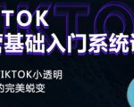 Tiktok实操进阶课程，体验从tiktok小透明到大佬的完美蜕变-88项目资源库