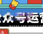 零零已久·从0-1运营公众号，零基础小白也能上手，系统性了解公众号运营-88项目资源库