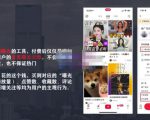 麦子互娱短视频带货·0基础做好物分享账号，无需出镜无需货源无需拍摄-88项目资源库
