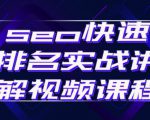 seo快速排名实战讲解视频课程，揭秘seo快排原理-88项目资源库