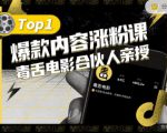 【毒舌电影合伙人亲授】抖音爆款内容涨粉课，5000万抖音大号首次披露涨粉机密-88项目资源库