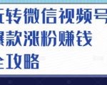 玩转微信视频号爆款涨粉赚钱全攻略，让你快速抓住流量风口，收获红利财富-88项目资源库