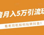 老古董·抖音月入5万引流玩法，看看老司机如何玩转抖音(附赠：抖音另类引流思路)-88项目资源库