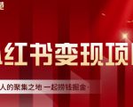 渣圈学苑·小红书虚拟资源变现项目，一起捞钱掘金价值1099元-88项目资源库