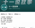 十一说故事·故事性中视频，观众快速共鸣从而快速变现的中视频玩法-88项目资源库