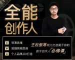 王松傲寒·全能创作人思维课，帮你打造创作人IP，全面提升导演思维-88项目资源库