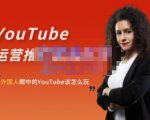 外国人眼中的YouTube该怎么玩？Elisa·YouTube运营推广实战技巧-88项目资源库