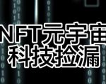 【元本空间sky七级空间唯一ibox幻藏等】NTF捡漏合集【抢购脚本+教程】-88项目资源库