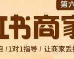 贾真-小红书商家营第6期商家版，21天带货陪跑课，让商家丢掉付流量-88项目资源库