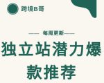 【跨境B哥】独立站潜力爆款选品推荐，测款出单率高达百分之80-88项目资源库