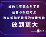 张sir账号流量增长课，告别海王流量，让你的流量更精准-88项目资源库