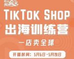 疯人院:TikTok Shop出海训练营（一店卖全球)，出海抢占全球新流量-88项目资源库