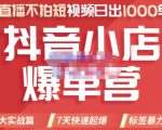 推易电商·2022年抖音小店爆单营，不直播、不拍短视频、日出1000单，暴力玩法-88项目资源库