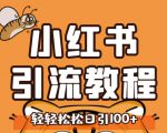 小红书运营引流全系列课程，每天引流100精准粉-88项目资源库