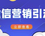 微信营销策划引流系列课程，每天引流100精准粉-88项目资源库
