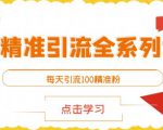闲鱼精准引流全系列课程，每天引流100精准粉【视频课程】-88项目资源库