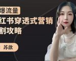 苏歆：小红书穿透式营销收割攻略，引爆流量，助你玩转小红书-88项目资源库