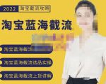 2022淘宝蓝海截流攻略，淘宝蓝海截流选品上货实操讲解-88项目资源库