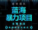 引流哥蓝海暴力躺赚项目：无需发圈无需引流无需售后，每单赚50-500（教程+线报群)-88项目资源库